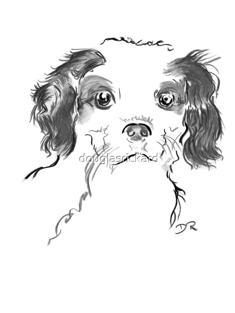 Cavalier King Charles Spaniel Puppy Drawing by douglasrickard