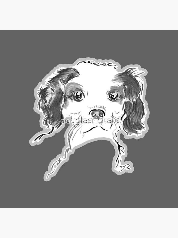 Cavalier King Charles Spaniel Puppy Drawing by douglasrickard