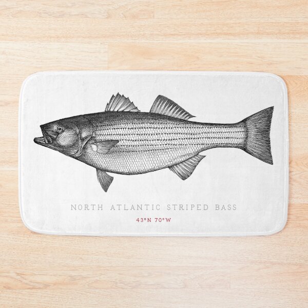 Item preview, Striped Bass Illustration designed and sold by Ken Murphy.