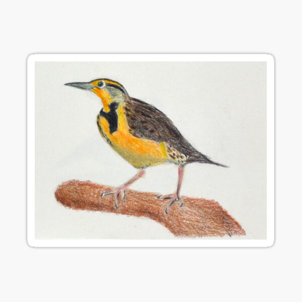 Single Meadowlark Sticker