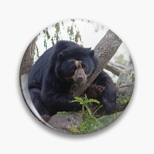 Item preview, Andean Bear designed and sold by HazelWright.