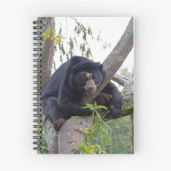 Item preview, Andean Bear designed and sold by HazelWright.