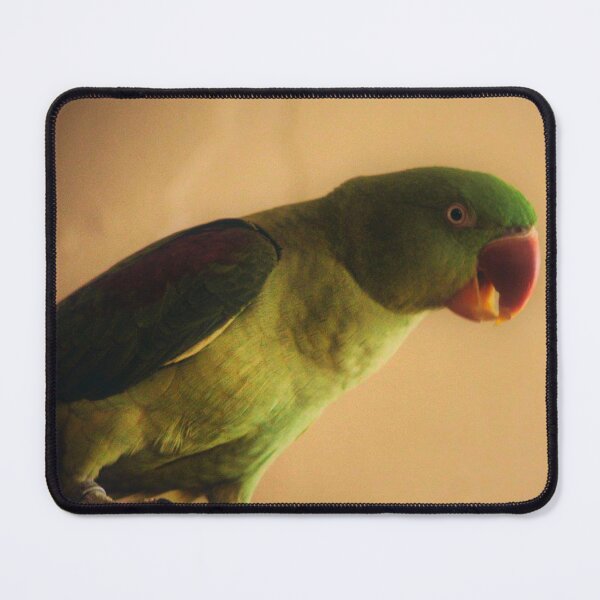 Item preview, parakeet designed and sold by Francespoppy.
