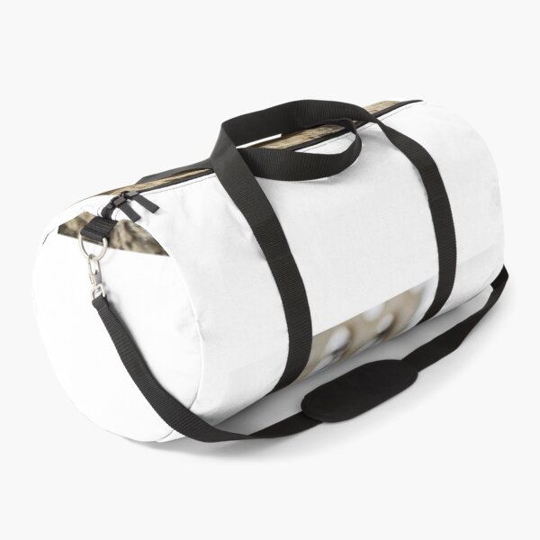 Item preview, Cat designed and sold by paolo amiotti.