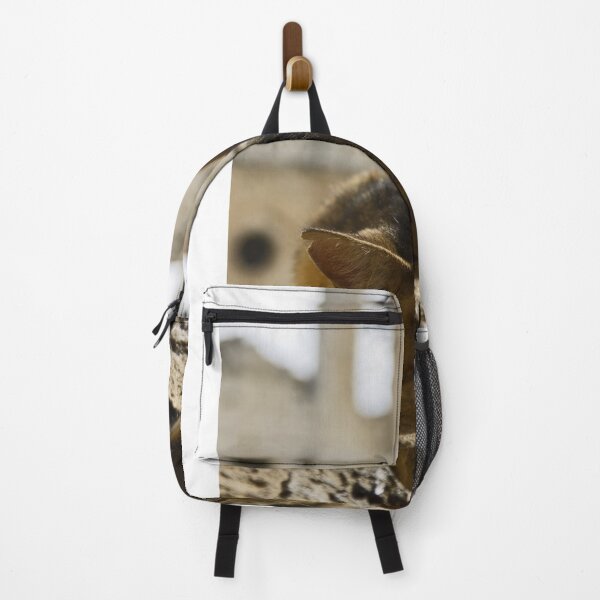 Item preview, Cat designed and sold by paolo amiotti.