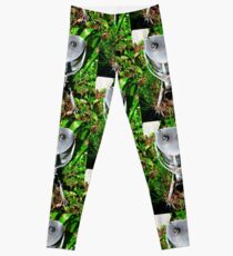 Musician Leggings