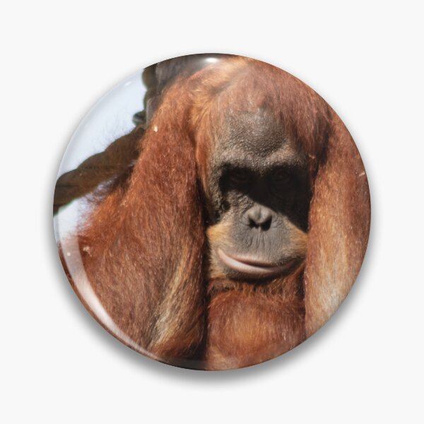 Item preview, Sumatran orangutan designed and sold by HazelWright.