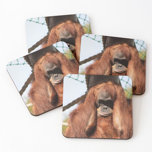 Item preview, Sumatran orangutan designed and sold by HazelWright.