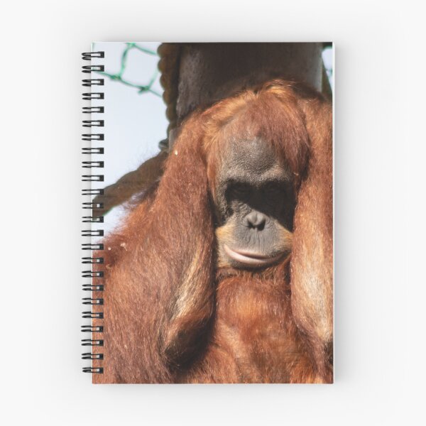 Item preview, Sumatran orangutan designed and sold by HazelWright.