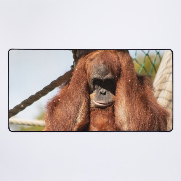 Item preview, Sumatran orangutan designed and sold by HazelWright.