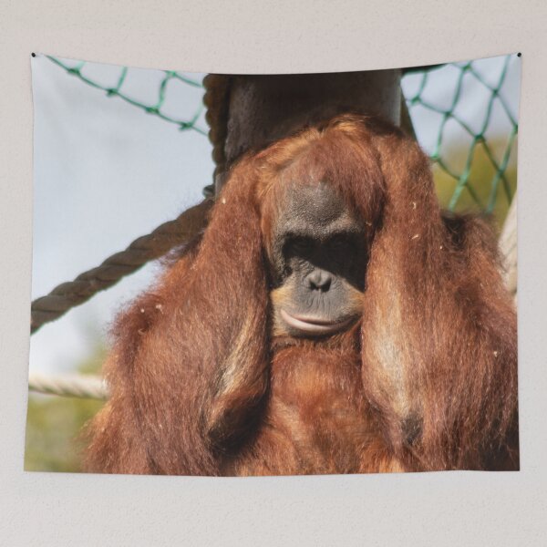 Item preview, Sumatran orangutan designed and sold by HazelWright.