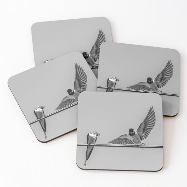 Item preview, Family of birds designed and sold by KGPhotoArt.