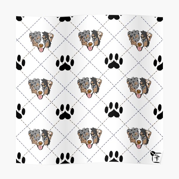 Australian Shepherd Plaid Poster