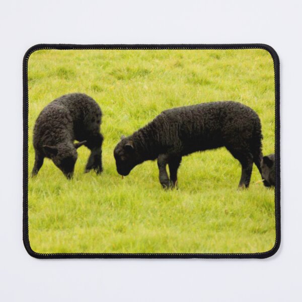 Item preview, black sheep designed and sold by Francespoppy.