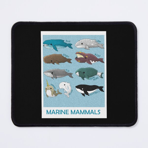 Item preview, Nautical Whales Dolphins Nursery designed and sold by severojuaireg66.