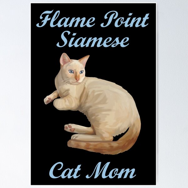 Flame point store siamese for sale