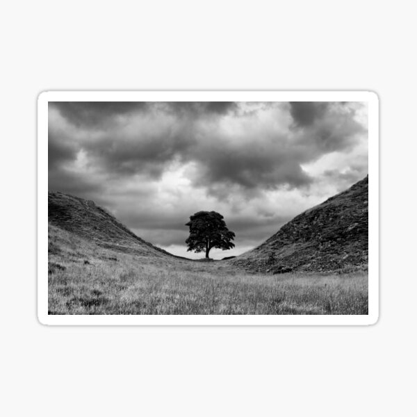 Item preview, Sycamore Gap designed and sold by Brian Avery.