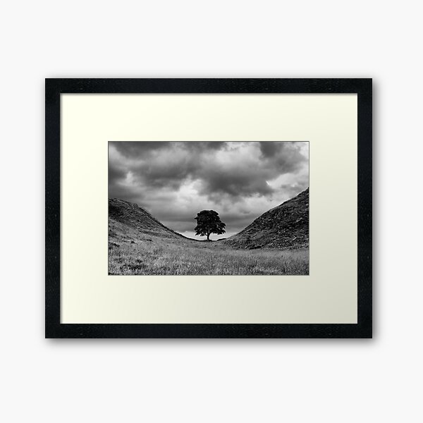 Sycamore Gap Framed Art Print