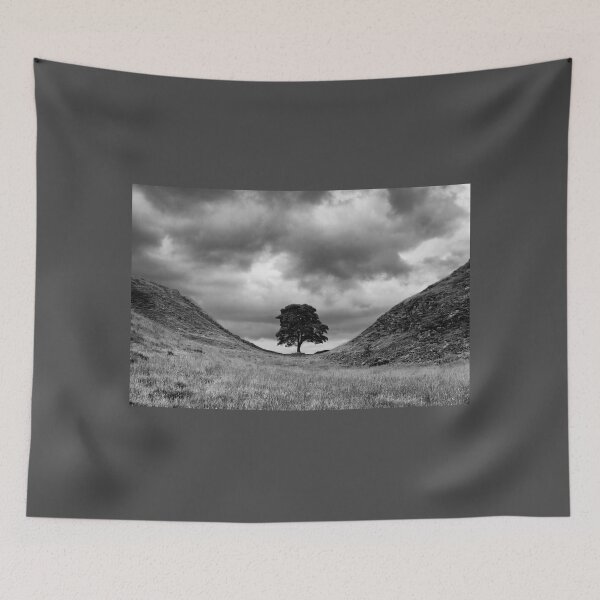 Item preview, Sycamore Gap designed and sold by FXST.