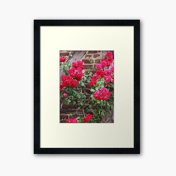 Item preview, Brick Wall Roses designed and sold by HATABNA.
