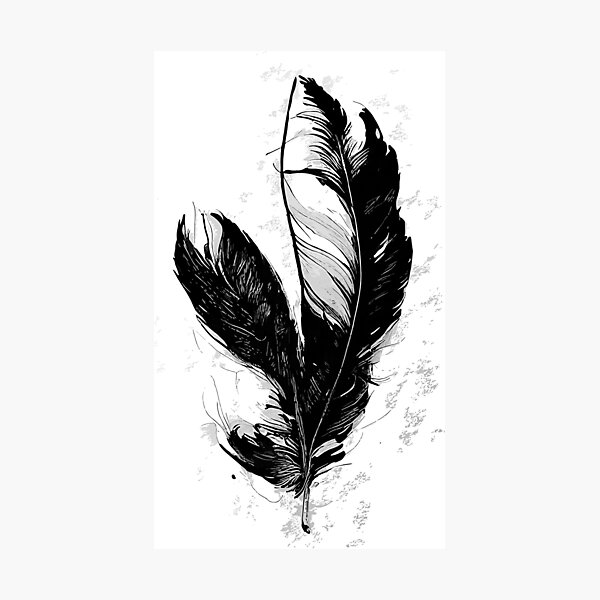 Black feather | Posters, Art Prints, Wall Murals | +250 000 motifs