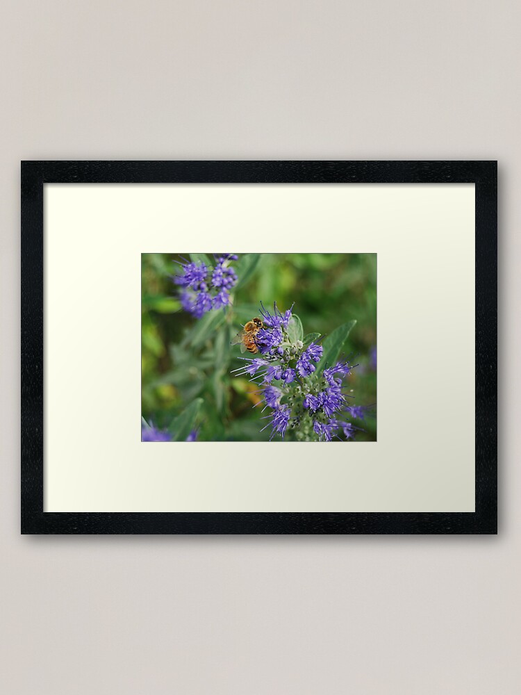 Alternate view of Beeautiful Framed Art Print