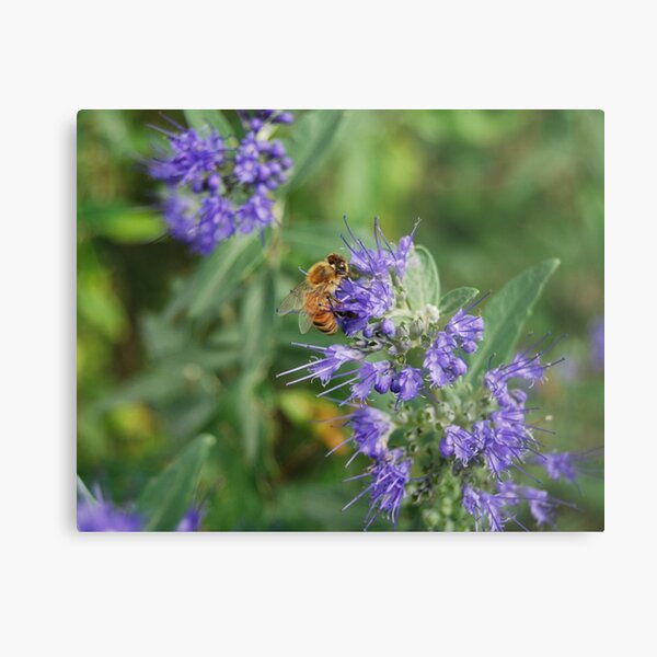 Metal Print