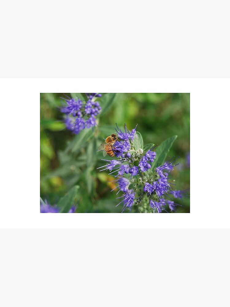Beeautiful by VikingHorde