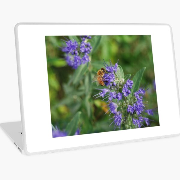 Macbook Air 13" (2015)