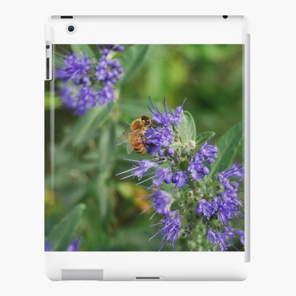 iPad Retina/3/2 - Snap