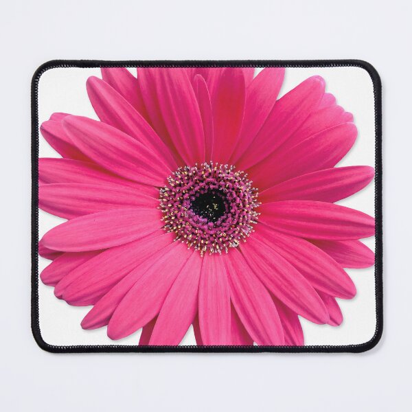 Item preview, pink gerbera gerber daisy flower stickers designed and sold by wasootch.