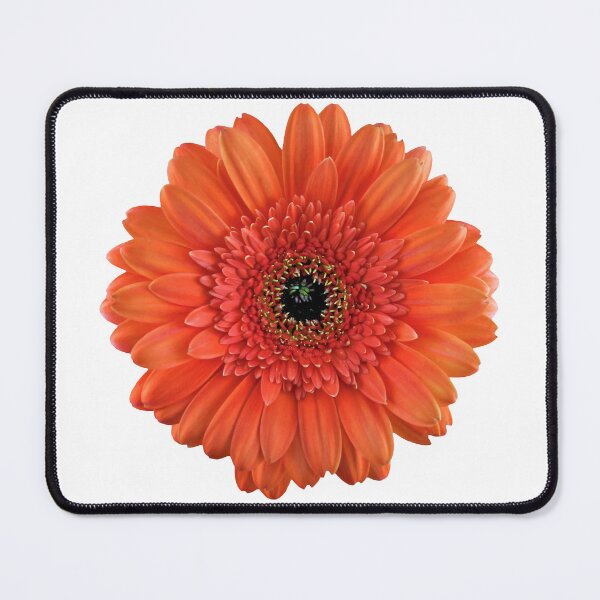 Item preview, orange gerbera daisy flower floral sticker designed and sold by wasootch.