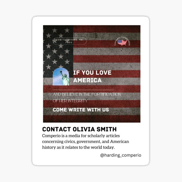 Item preview, Comperio Conservative Newsletter designed and sold by Winter-Writer.