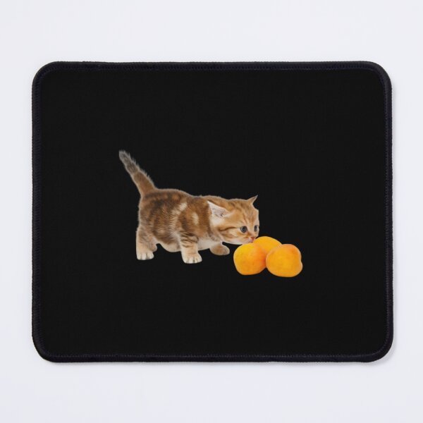 Item preview, El Gato Sticker Classic  designed and sold by pjotermulpasx.