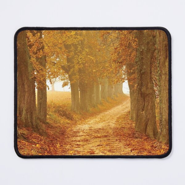 Item preview, Autumn forest designed and sold by Durgaa D.