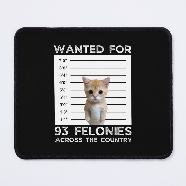 Item preview, Copy of El Gato Wanted Poster Bounty Meme Sad Crying Kitten Classic  designed and sold by pjotermulpasx.