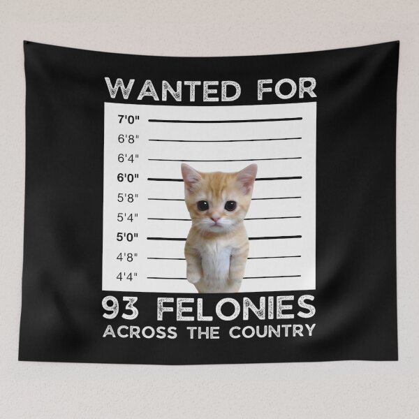 Item preview, Copy of El Gato Wanted Poster Bounty Meme Sad Crying Kitten Classic  designed and sold by pjotermulpasx.