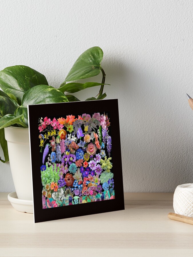 Bright multi color floral collage on black background! Art Board Print for  Sale by Jillyanne Downs