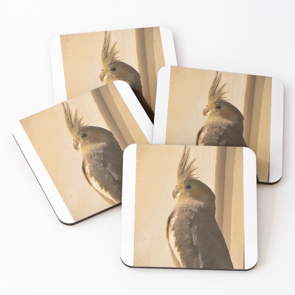 Item preview, pets Cockatiel bird (Nymphicus hollandicus) designed and sold by Infinite Feeling Shop.