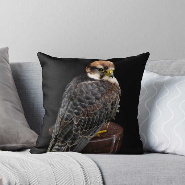 Item preview, Lanner Falcon designed and sold by DiFigianoPhoto.