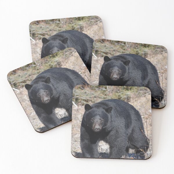 Item preview, Black Bear designed and sold by DreaminReality.
