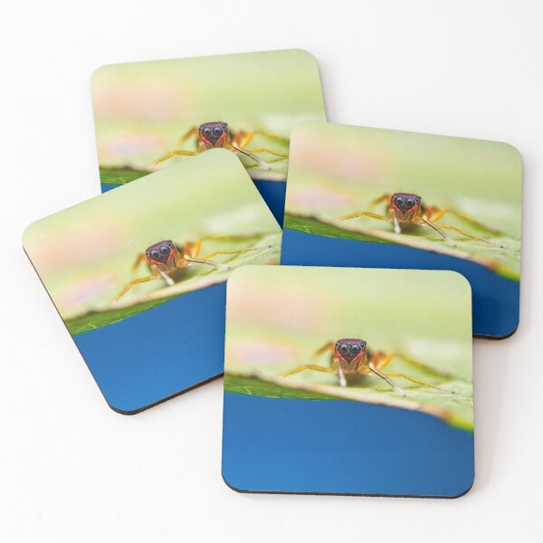 Item preview, Ant Mimic Jumping Spider designed and sold by AronsTinySafari.