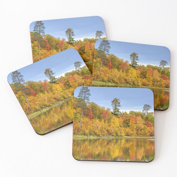 Item preview, Itasca State Park on October 3, 2022 designed and sold by Debbie Center.