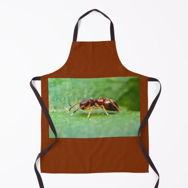 Item preview, Ant Mimic Jumping Spider designed and sold by AronsTinySafari.