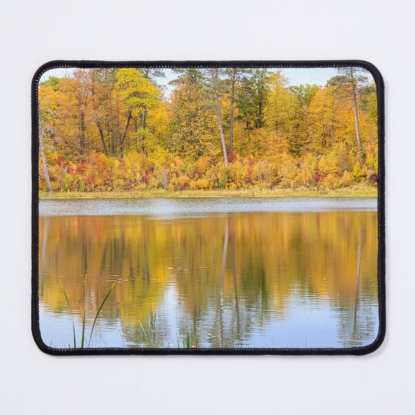 Item preview, Itasca State Park on October 3, 2022 designed and sold by Debbie Center.