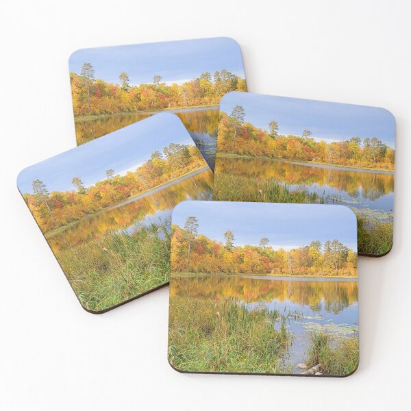 Item preview, Itasca State Park on October 3, 2022 designed and sold by Debbie Center.