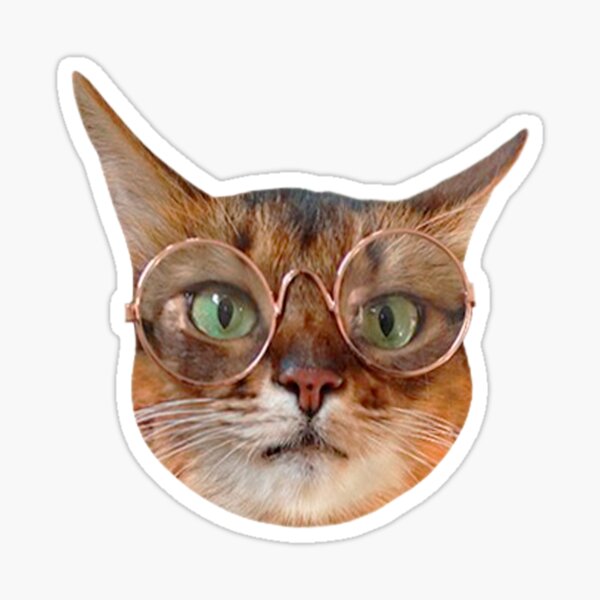 "what?" Sticker for Sale by meme-stuff | Redbubble