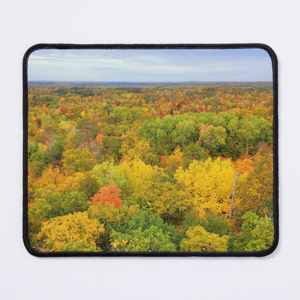 Item preview, Itasca State Park Fire Tower View on October 3, 2022 designed and sold by Debbie Center.