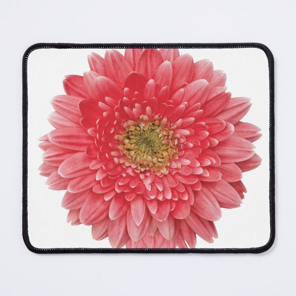 Item preview, Coral Gerbera Gerber Daisy Flower Floral designed and sold by wasootch.