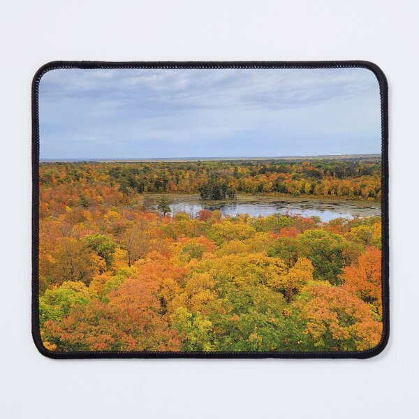Item preview, Itasca State Park Fire Tower View on October 3, 2022 designed and sold by Debbie Center.